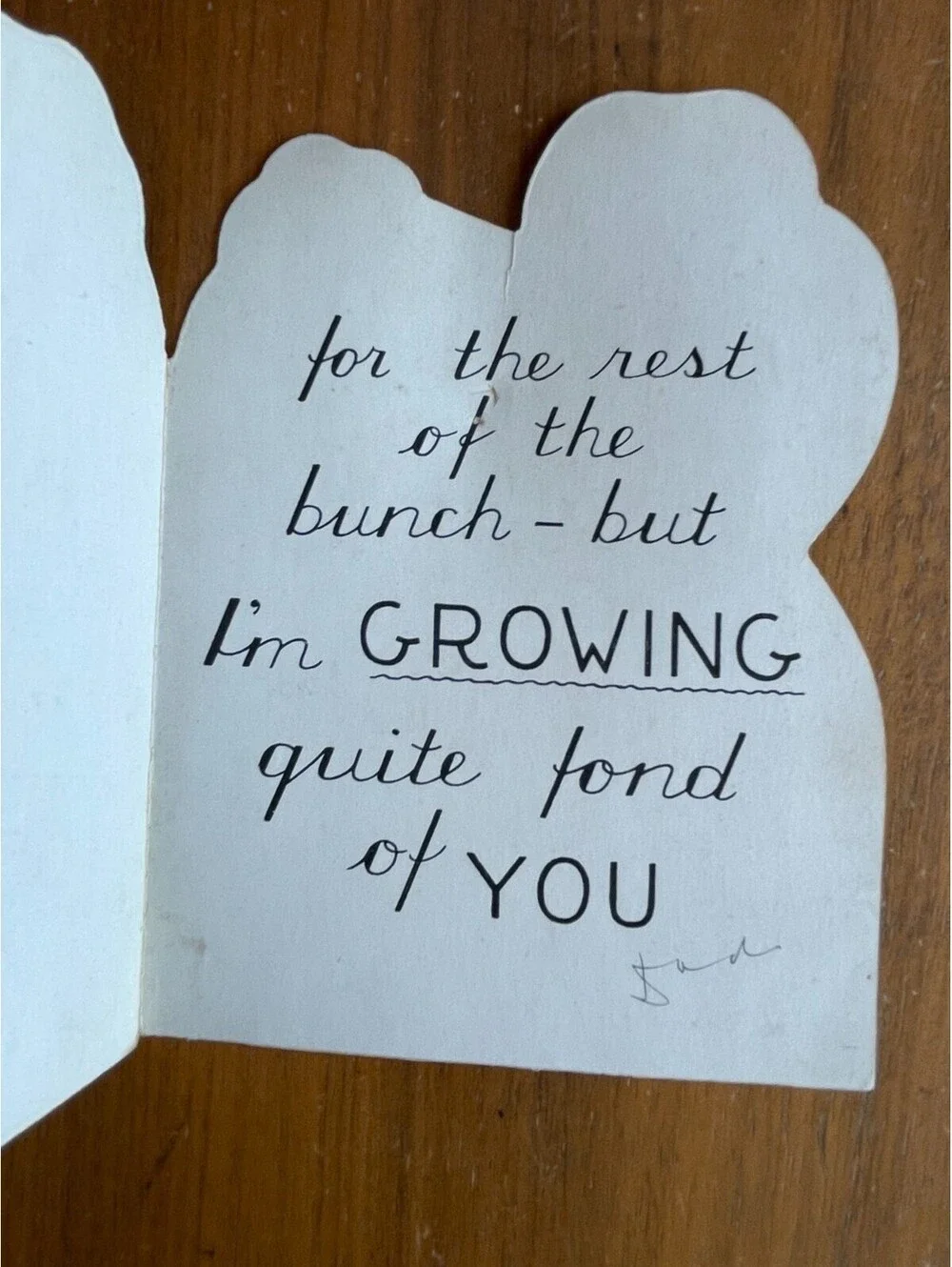 Valentine Card I Don't Carrot All Little Boy & Girl Valentine's Day Card